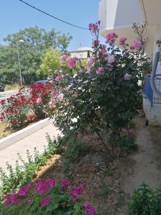 Elva Creta Heraklion (Crete) Exterior foto